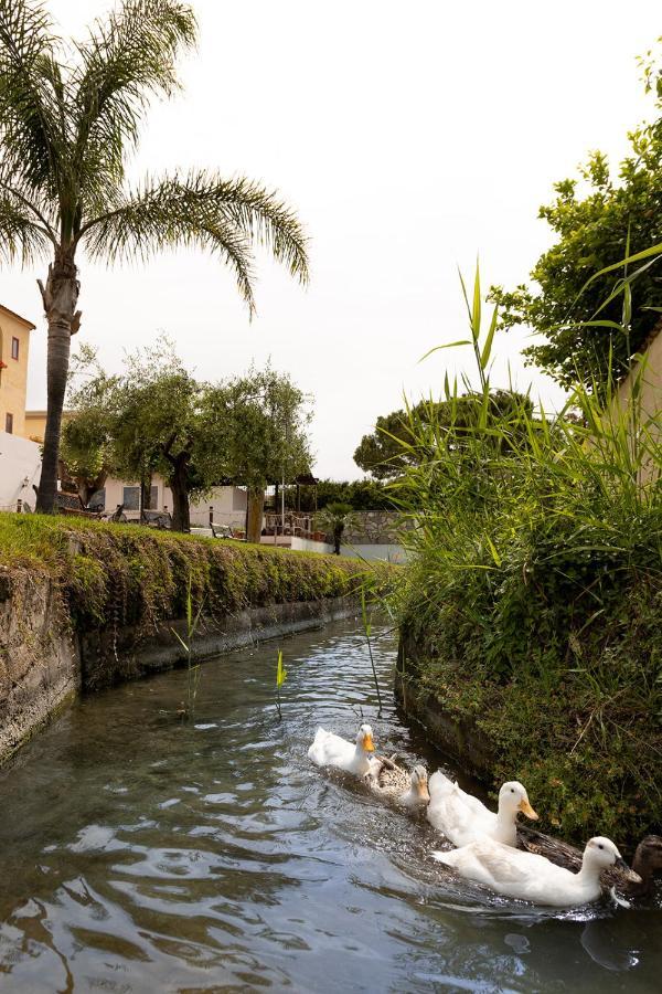 Hotel Poseidonia Mare Paestum Exterior photo